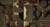 c509aa132e0f8a20b7849717321c9383