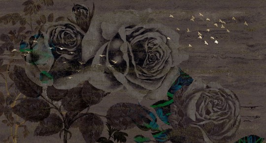 Muance MU15031 Edition 5 Lush Enchanted - mural w róże