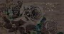 15acf5733c0ca5e8b308ecc21b4b57c8