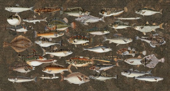 Muance MU15061 Edition 5 Lush Underwater - mural w ryby
