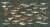 0f563e9abe9cb879e88dcc7012b7ddfa