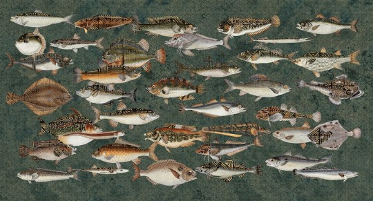 Muance MU15062 Edition 5 Lush Underwater - mural w ryby