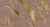 7e1273d303d516fe442e577a5f086a8b