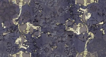 25b11975c49faa2bee01b6a8687a498c