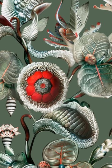 Arte MO5001 Moooi Wallcovering Green House Coccinella Bella Sage Green - tapeta w roślinne ornamenty i biedronki