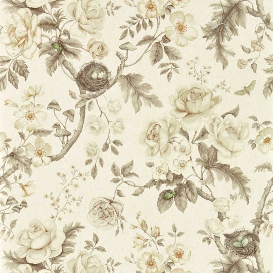 Sanderson 217315 Giles Deacon Tansy Bloom Oyster - tapeta w kwiaty