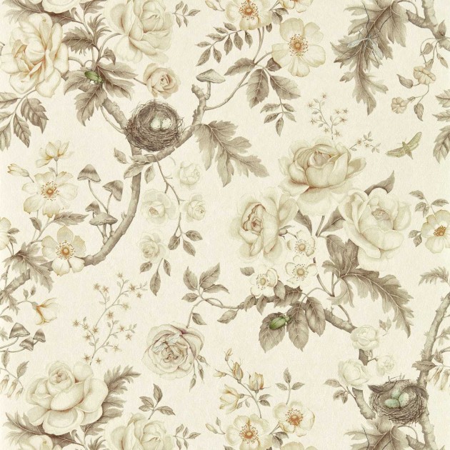 Sanderson 217315 Giles Deacon Tansy Bloom Oyster - tapeta w kwiaty