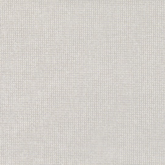 Zinc ZW132/01 Mineralogy Tantalum Moonbeam - szara tapeta strukturalna