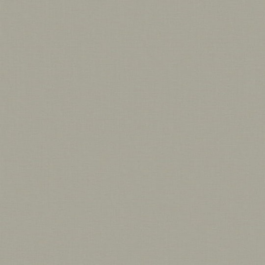 Galerie F-SR8004 Lustre - szara tapeta