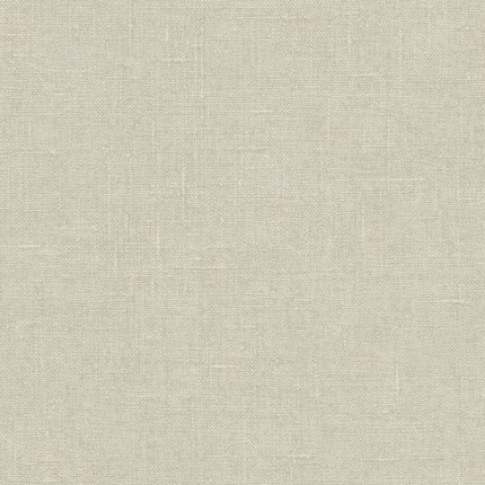 Galerie G67436 Natural FX 2 - tapeta strukturalna szara