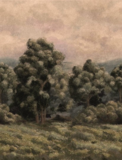 Boras Tapeter 9594W Studio Garden Misty Forest - mural mglisty las