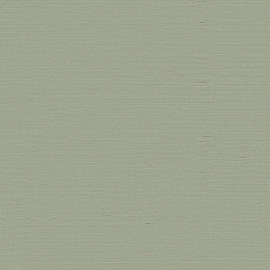 York DL2941 Candice Olson Natural Splendor Plain Sisals Spa - tapeta imitująca tkaninę