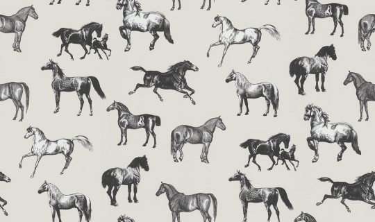 Sandberg S10411 Special Edition Colette Graphite - mural w konie