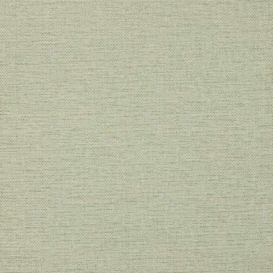 Colefax and Fowler 20283-09 Naturals W/P I Mecox Fern - tapeta strukturalna