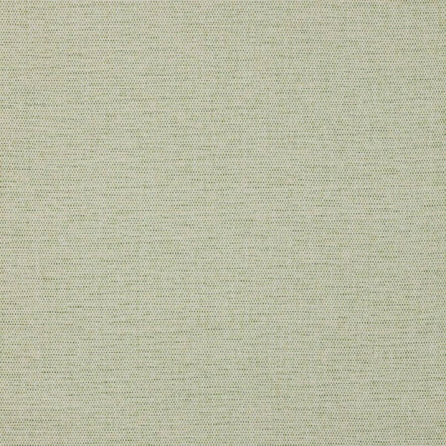 Colefax and Fowler 20283-09 Naturals W/P I Mecox Fern - tapeta strukturalna