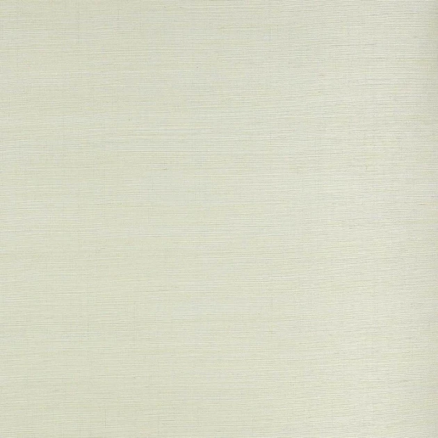 Colefax and Fowler 20232-23 Naturals W/P I Seagrass Mist - ręcznie tkana tapeta w delikatne poziome paski z sizalu i bawełny