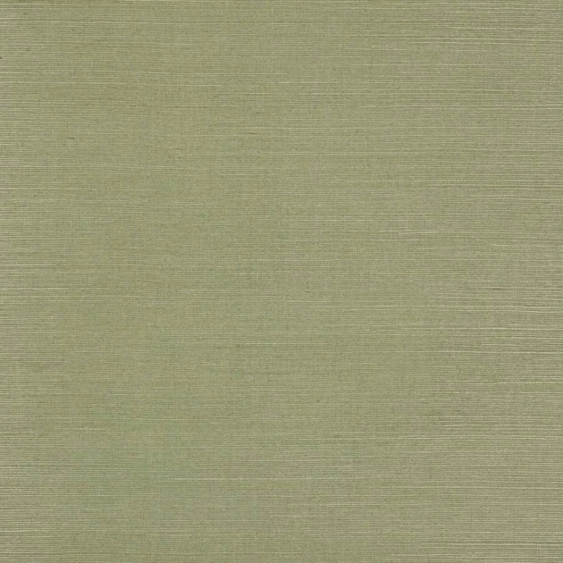 Colefax and Fowler 20232-32 Naturals II Seagrass Fern - ręcznie tkana tapeta w delikatne poziome paski z sizalu i bawełny