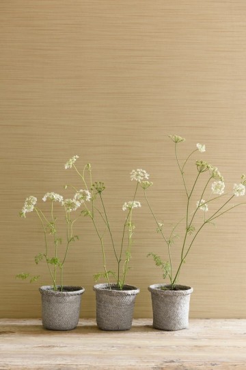 Colefax and Fowler 07170/02 Textured Wallpapers Kenton Cream - tapeta w delikatne paski
