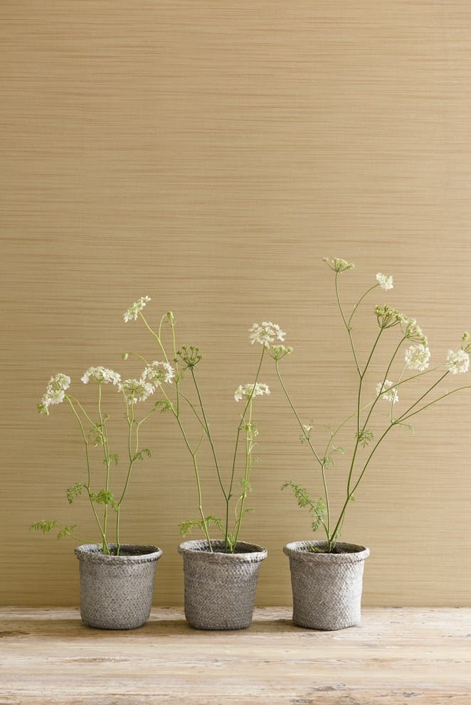 Colefax and Fowler 07170/09 Textured Wallpapers Kenton Leaf - tapeta w delikatne paski