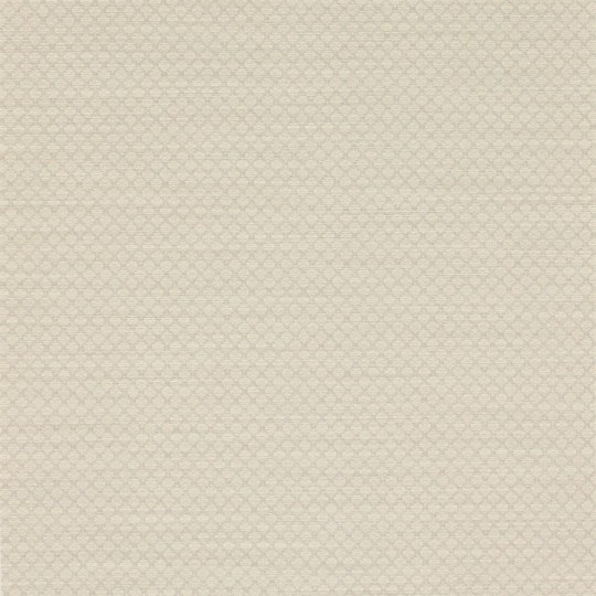 Colefax and Fowler 07183/02 Textured Wallpapers Esther Stone - tapeta w kratkę