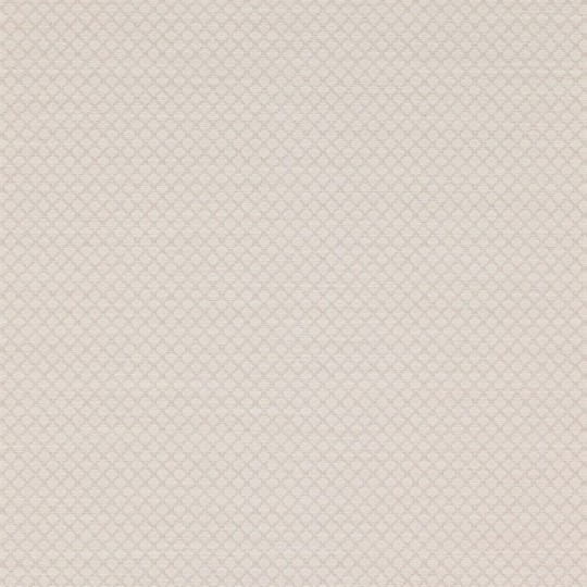 Colefax and Fowler 07183/06 Textured Wallpapers Esther Silver - tapeta w kratkę
