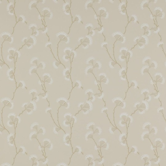 Colefax and Flower 07982/05 Small Design W/Papers Ashbury Cream - tapeta w minimalistyczny roślinny motyw