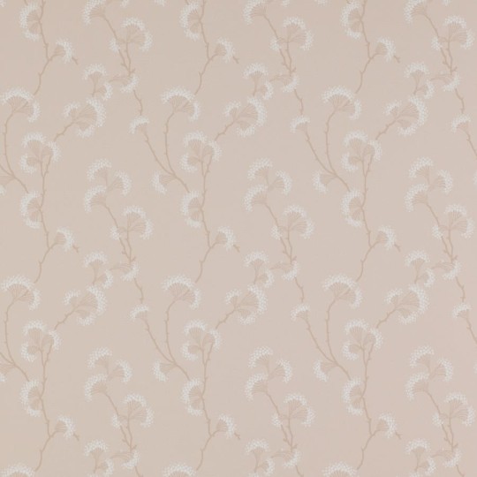 Colefax and Flower 07982/07 Small Design W/Papers Ashbury Pink - tapeta w minimalistyczny roślinny motyw