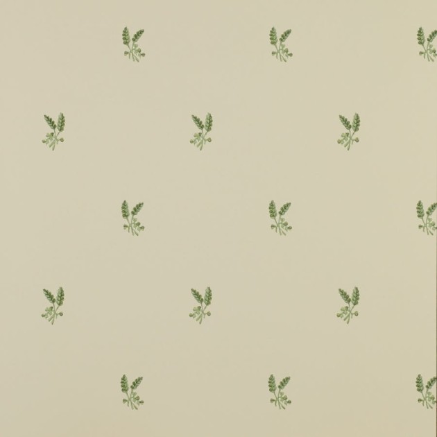 Colefax and Flower 07926/01 Small Design W/Papers Fernwood Leaf Green - tapeta w minimalistyczny motyw roślinny
