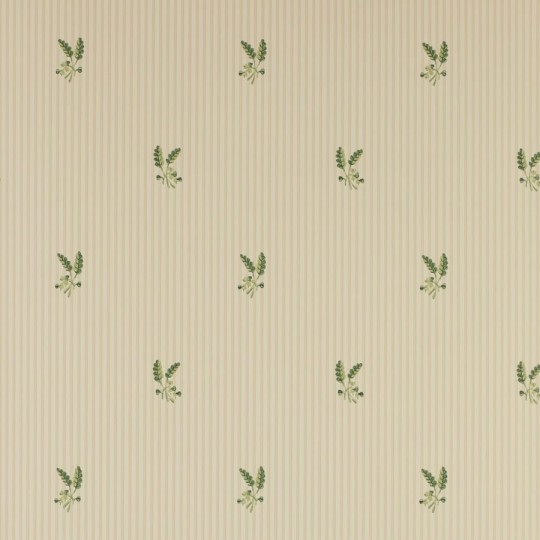 Colefax and Flower 07926/02 Small Design W/Papers Fernwood Beige - tapeta w minimalistyczny motyw roślinny