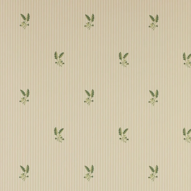 Colefax and Flower 07926/02 Small Design W/Papers Fernwood Beige - tapeta w minimalistyczny motyw roślinny