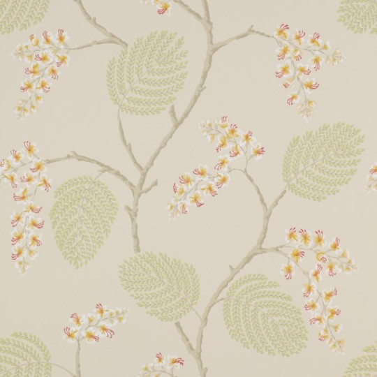 Colefax and Fowler 07141/05 Jardine Florals W/P Atwood Coral/Green - tapeta w delikatny motyw roślinny