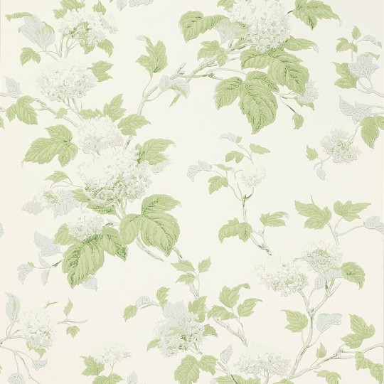 Colefax and Fowler 07816/07 Jardine Florals W/P Chantilly Silver/Forest Green - tapeta w liście i kwiaty
