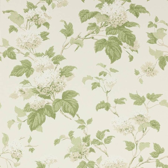 Colefax and Fowler 07816/09 Jardine Florals W/P Chantilly Ivory/Leaf Green - tapeta w liście i kwiaty