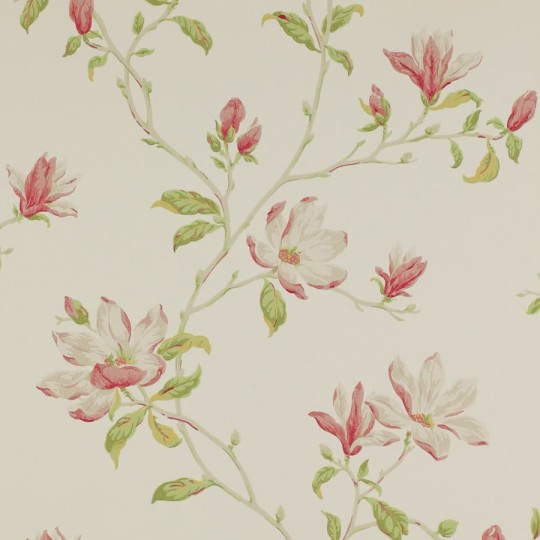 Colefax and Fowler 07976/01 Jardine Florals W/P Marchwood Pink/Green - tapeta w kwiaty magnolii