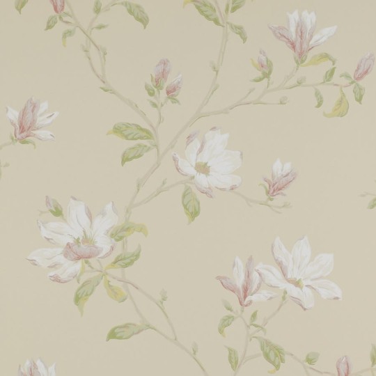 Colefax and Fowler 07976/06 Jardine Florals W/P Marchwood Ivory/Green - tapeta w kwiaty magnolii