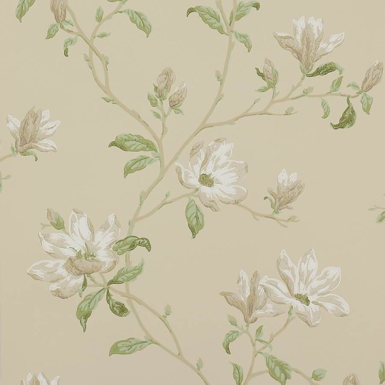 Colefax and Fowler 07976/08 Jardine Florals W/P Marchwood White/Sage - tapeta w kwiaty magnolii