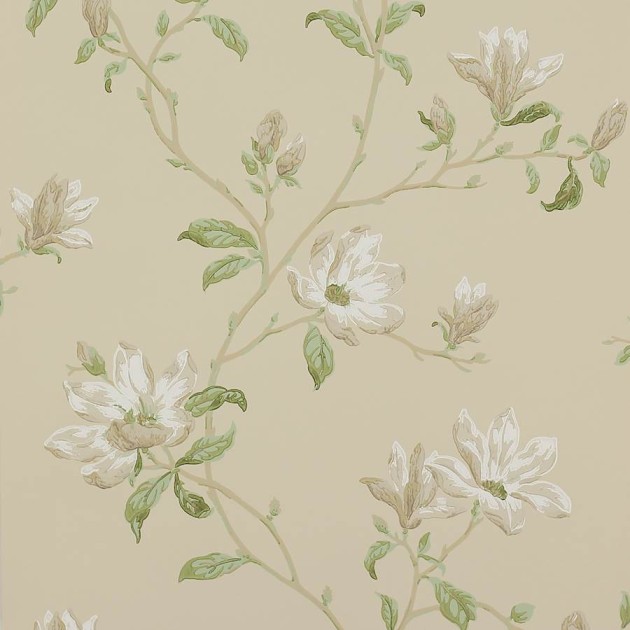 Colefax and Fowler 07976/08 Jardine Florals W/P Marchwood White/Sage - tapeta w kwiaty magnolii