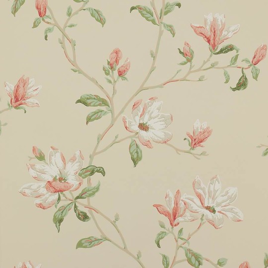 Colefax and Fowler 07976/09 Jardine Florals W/P Marchwood Coral/Sage - tapeta w kwiaty magnolii