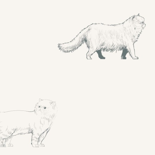 Yokodesign W121 Szkic Koty - tapeta dla dzieci w koty