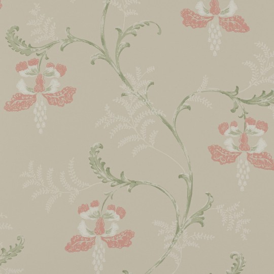 Colefax and Fowler 07127/07 Ashdown Bellflower Pink/Green - tapeta w stylizowany motyw roślinny