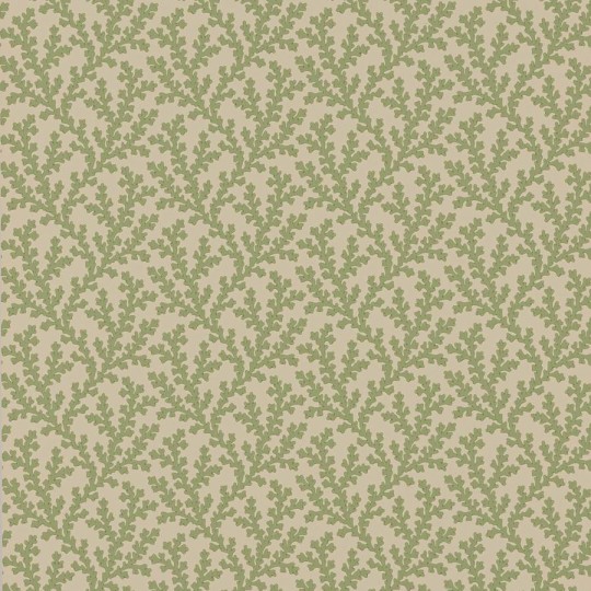 Colefax and Fowler W7020-01 Ashdown Sea Coral Green - tapeta w morskie rośliny