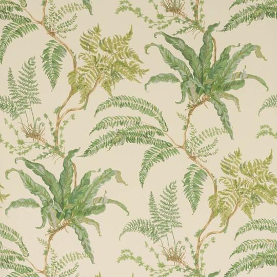 Colefax and Fowler W7015-01 Ashdown Woodfern Green - tapeta w paprocie