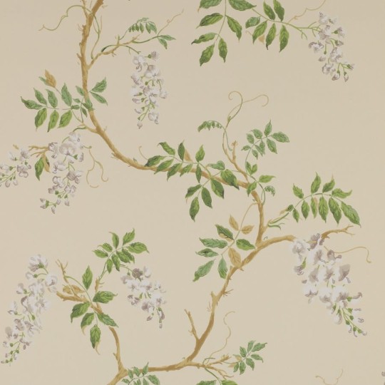 Colefax and Flower 07963/02 Lindon  Alderney Cream - tapeta w glicynię