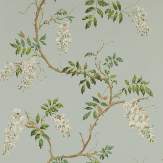 Colefax and Flower 07963/04 Lindon  Alderney Aqua - tapeta w glicynię