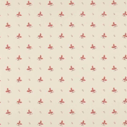 Colefax and Flower 07406/04 Small Design W/Papers II Ashling Pink - tapeta w małe kwiaty