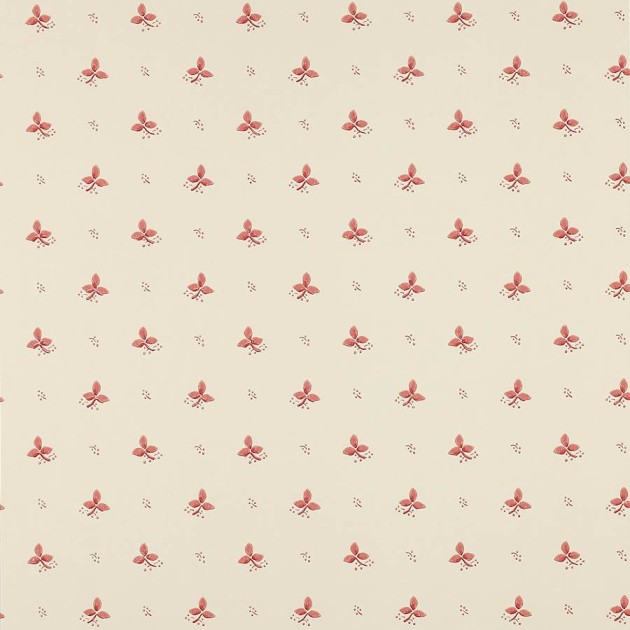 Colefax and Flower 07406/04 Small Design W/Papers II Ashling Pink - tapeta w małe kwiaty