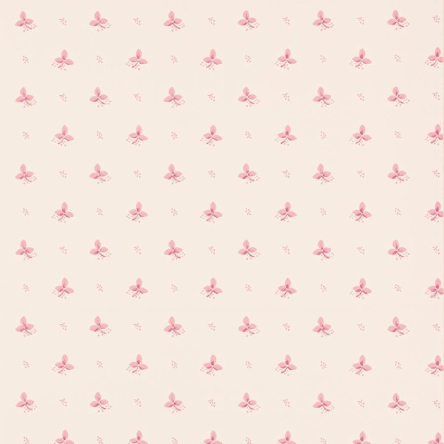 Colefax and Flower 07406/09 Small Design W/Papers II Ashling Raspberry - tapeta w małe kwiaty