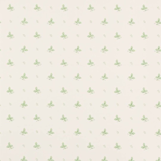 Colefax and Flower 07406/10 Small Design W/Papers II Ashling Green - tapeta w małe kwiaty