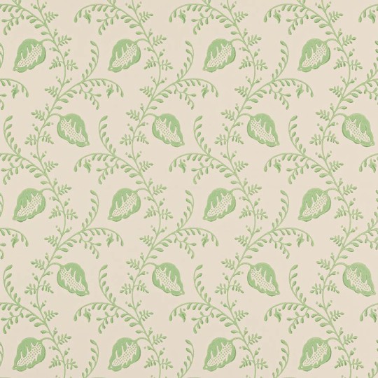 Colefax and Flower W7009-04 Small Design W/Papers II Felicity Green - tapeta w stylizowane liście