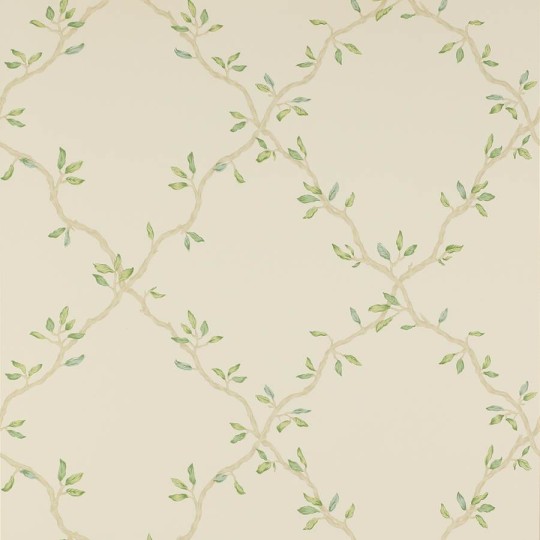 Colefax and Flower 07706/02 Small Design W/Papers II Leaf Trellis Pale Green - tapeta w roślinną kratkę